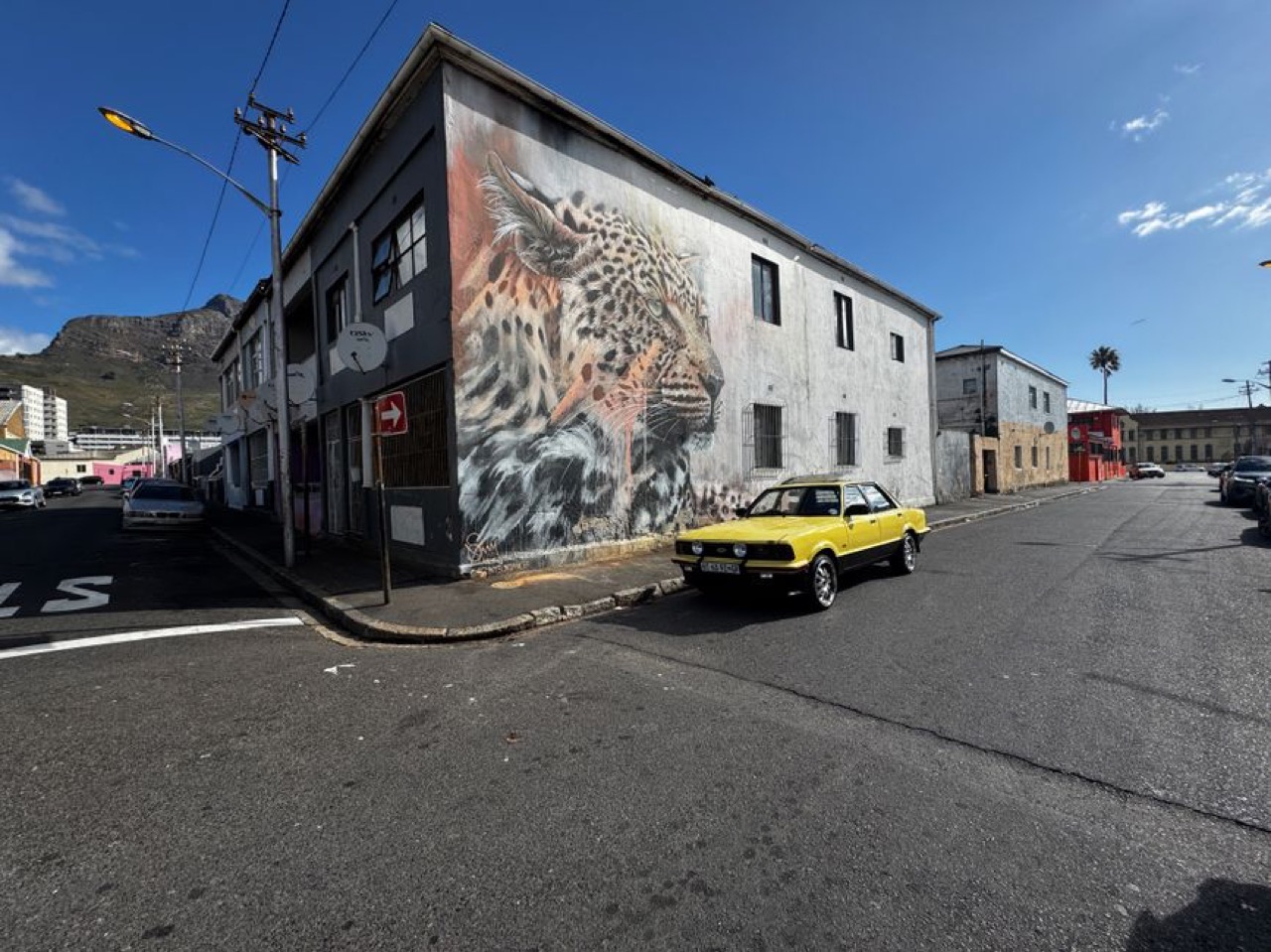 Cape town road cars